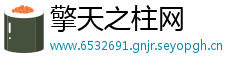 擎天之柱网